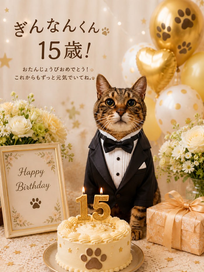 Ginnan the cat